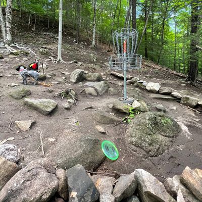 Blind basket on Hole 9