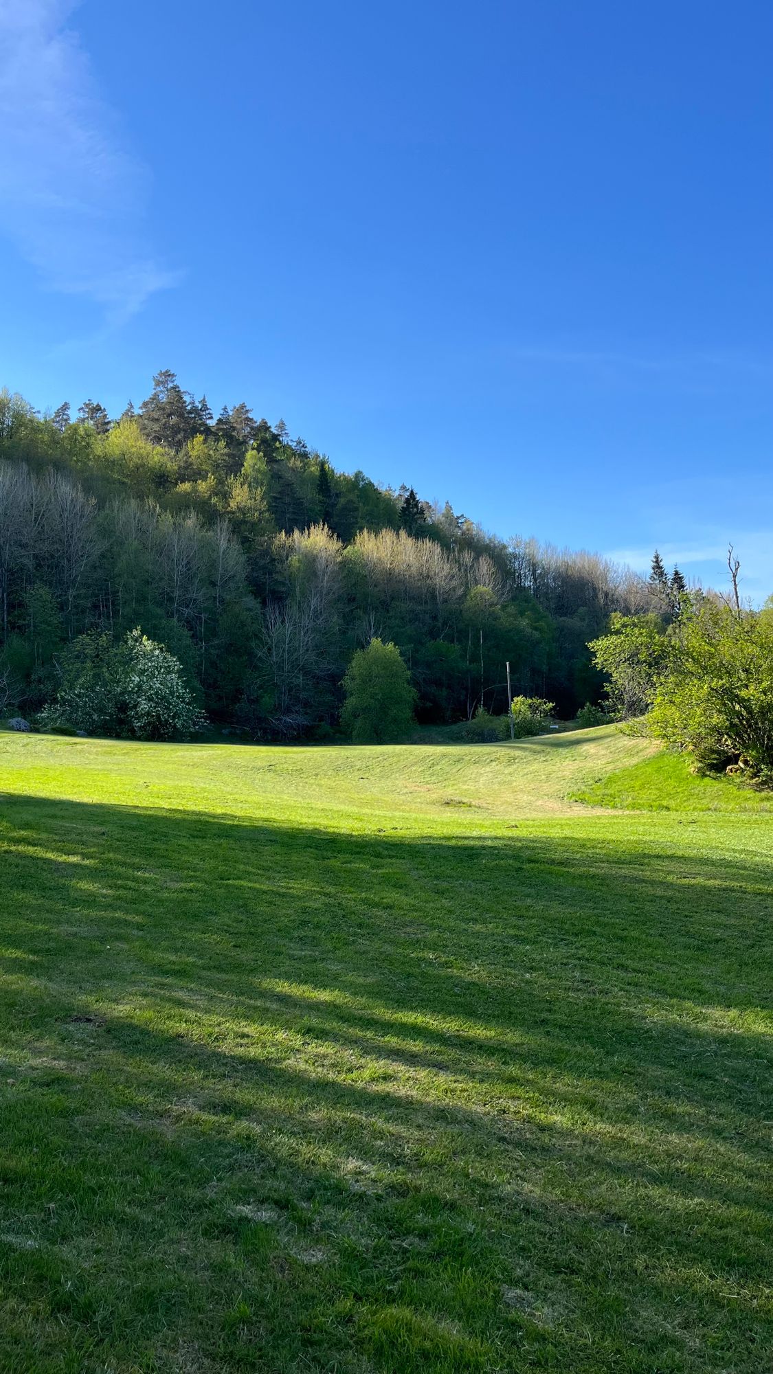 Hole 12