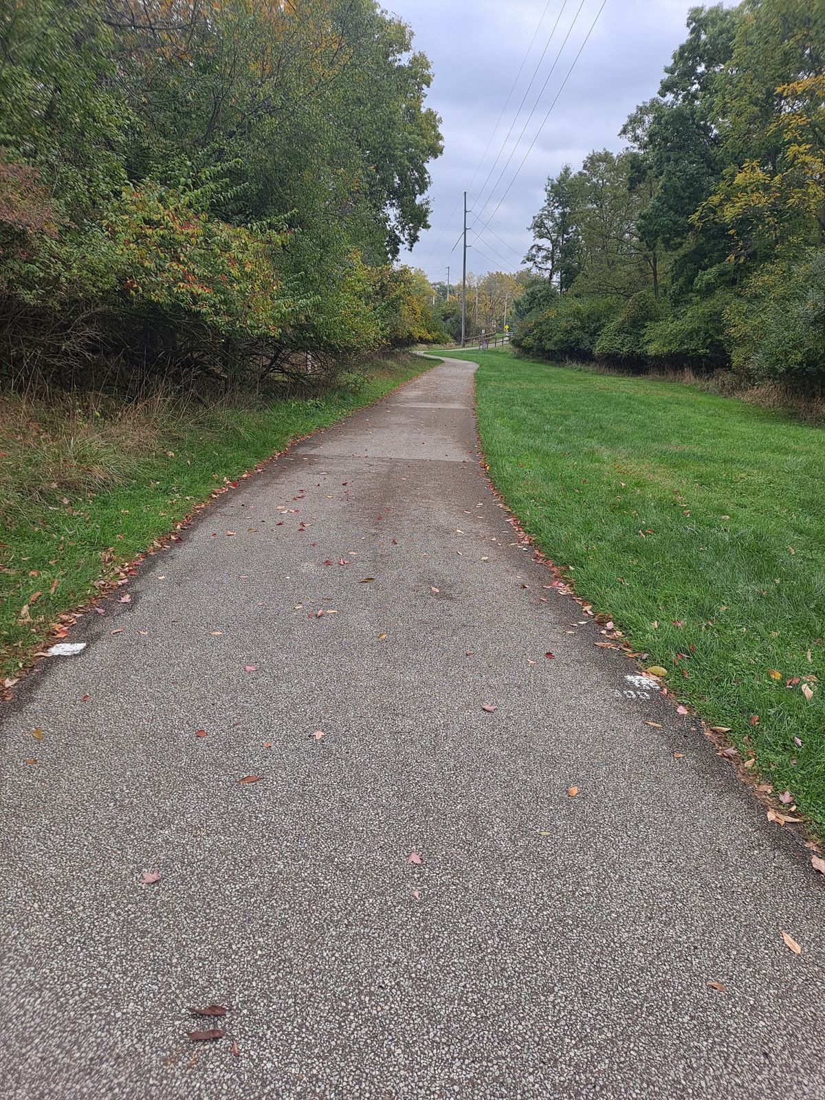 Hole 7 short