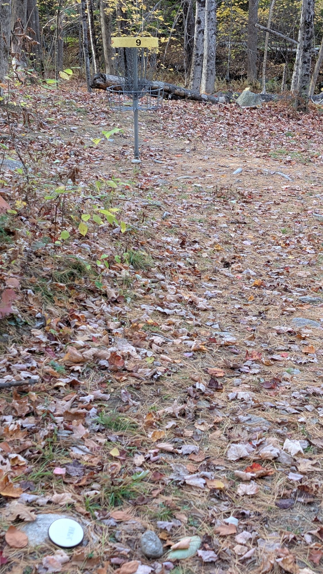 Hole 9 target, 30' short
