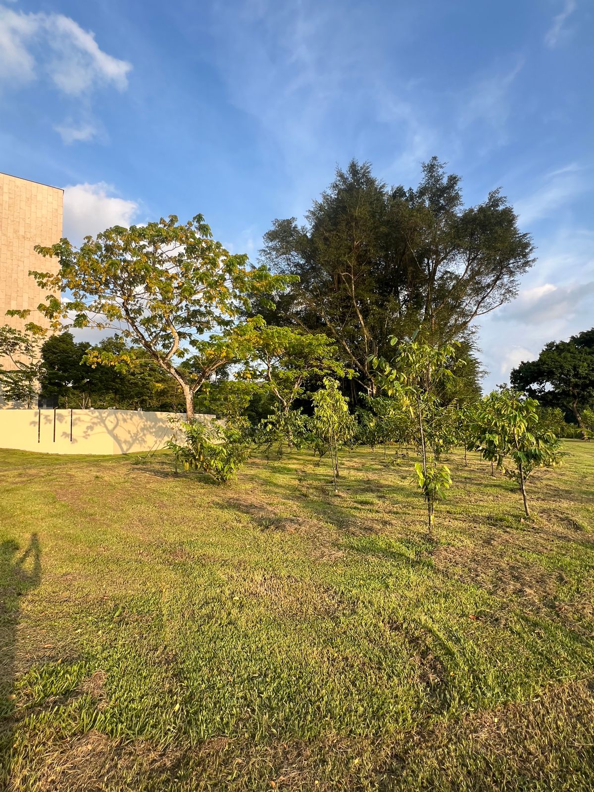 View of the well protected green from fairway on Hole 7.