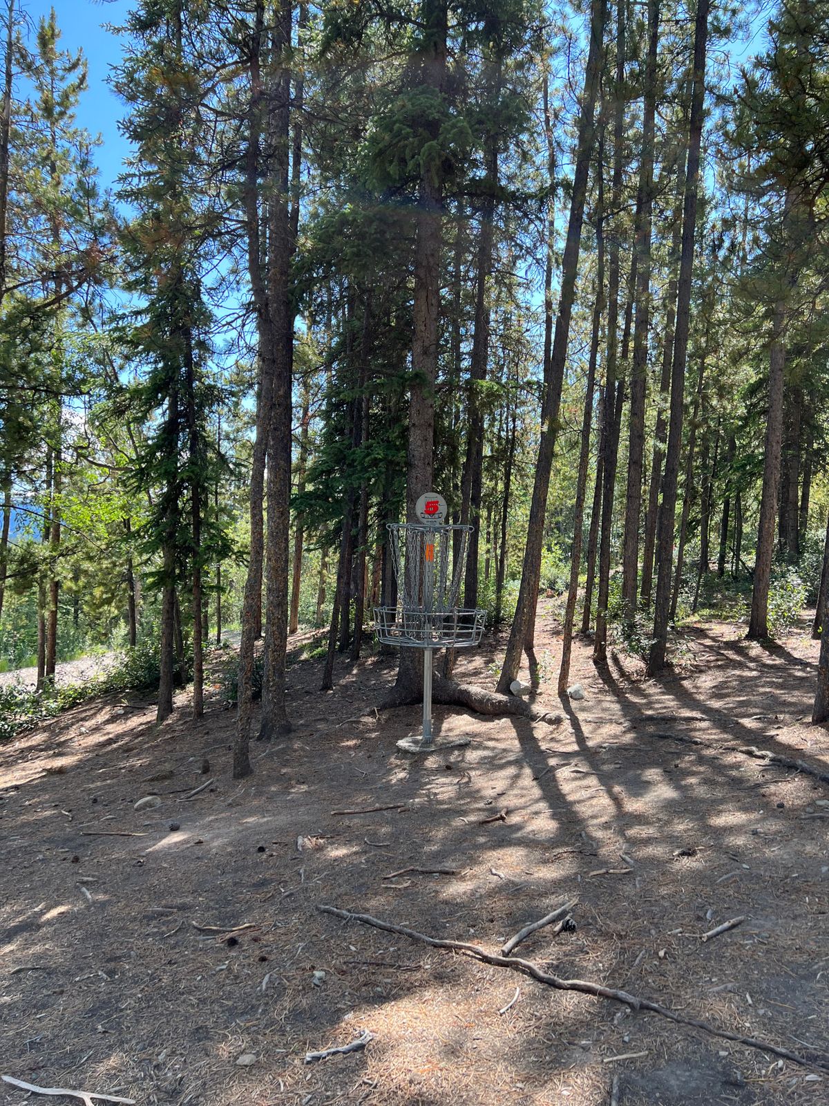 Hole 5 basket
