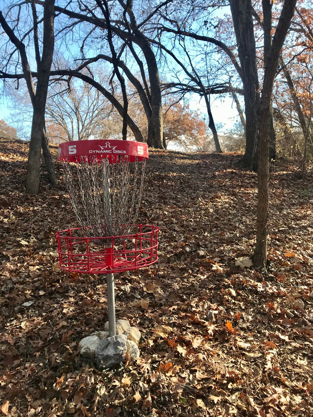 Hole 5 Basket to Tee