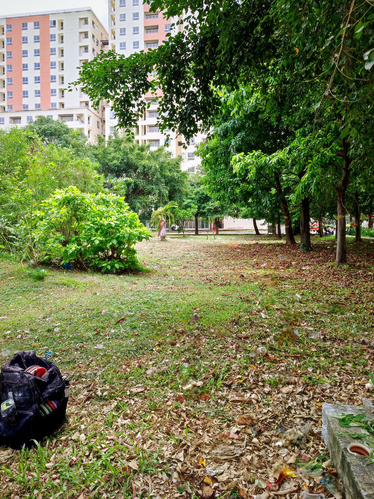 Hole 9 Tee - Nine in the Park