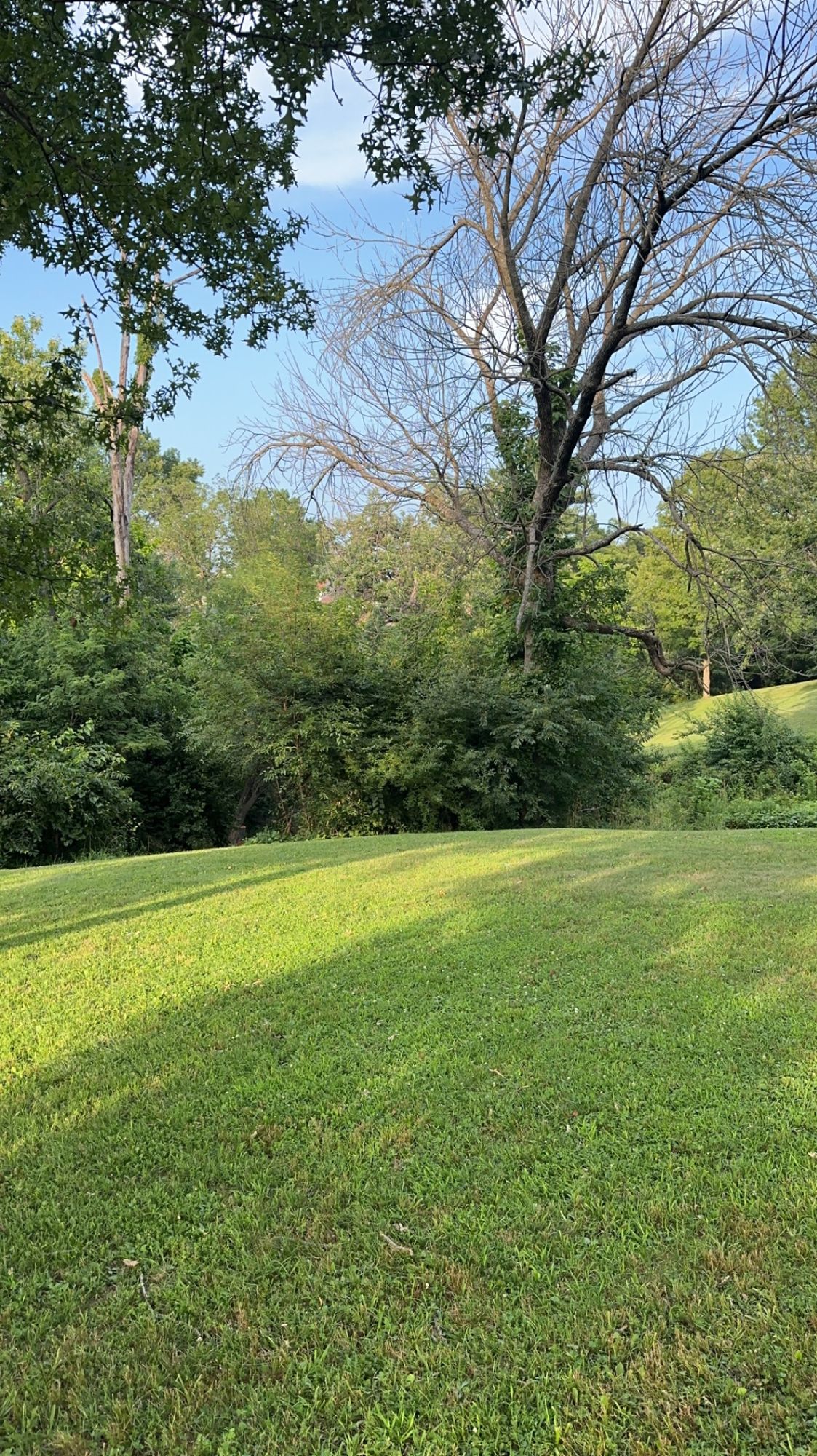 Hole 2 fairway