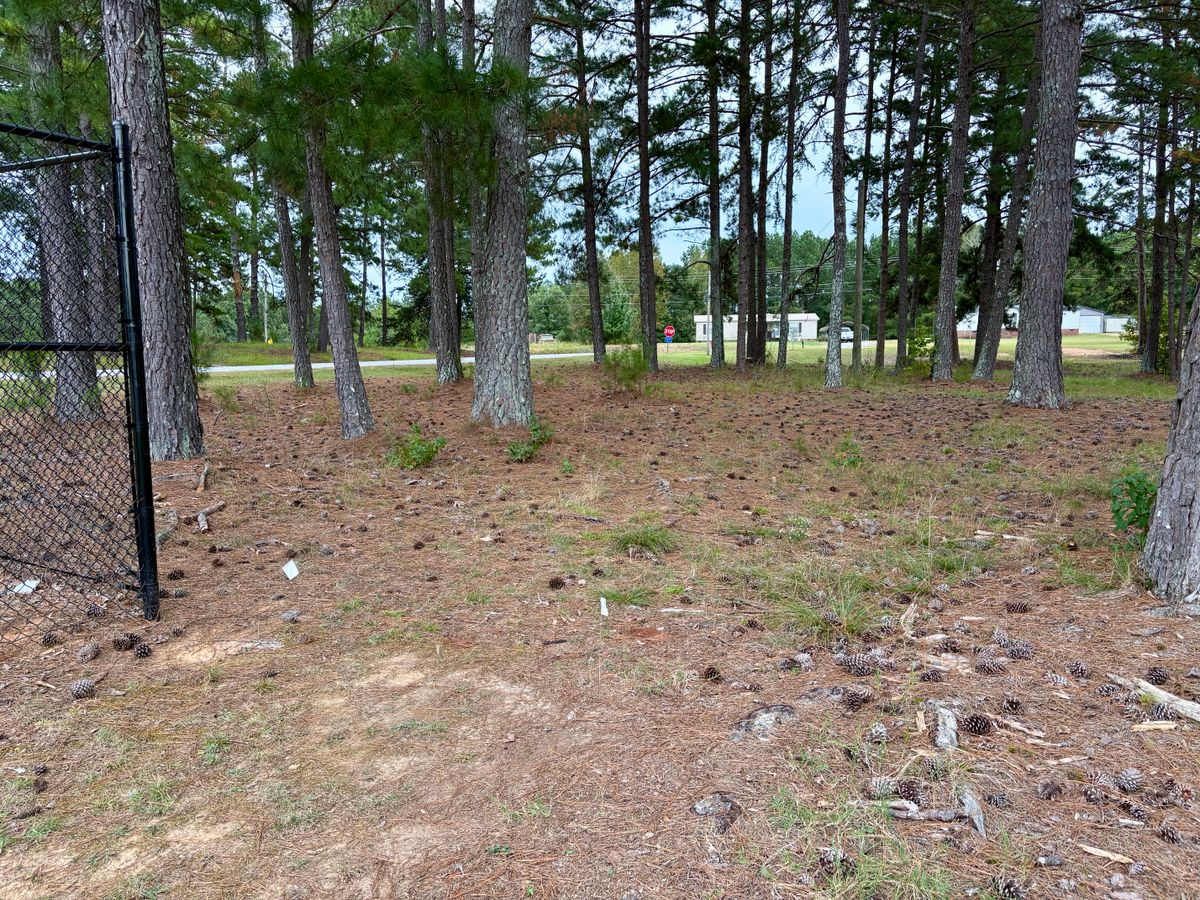 Hole 8 tee