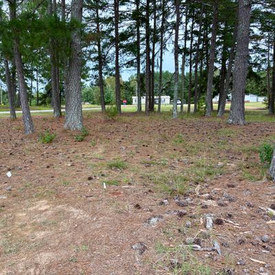 Hole 8 tee