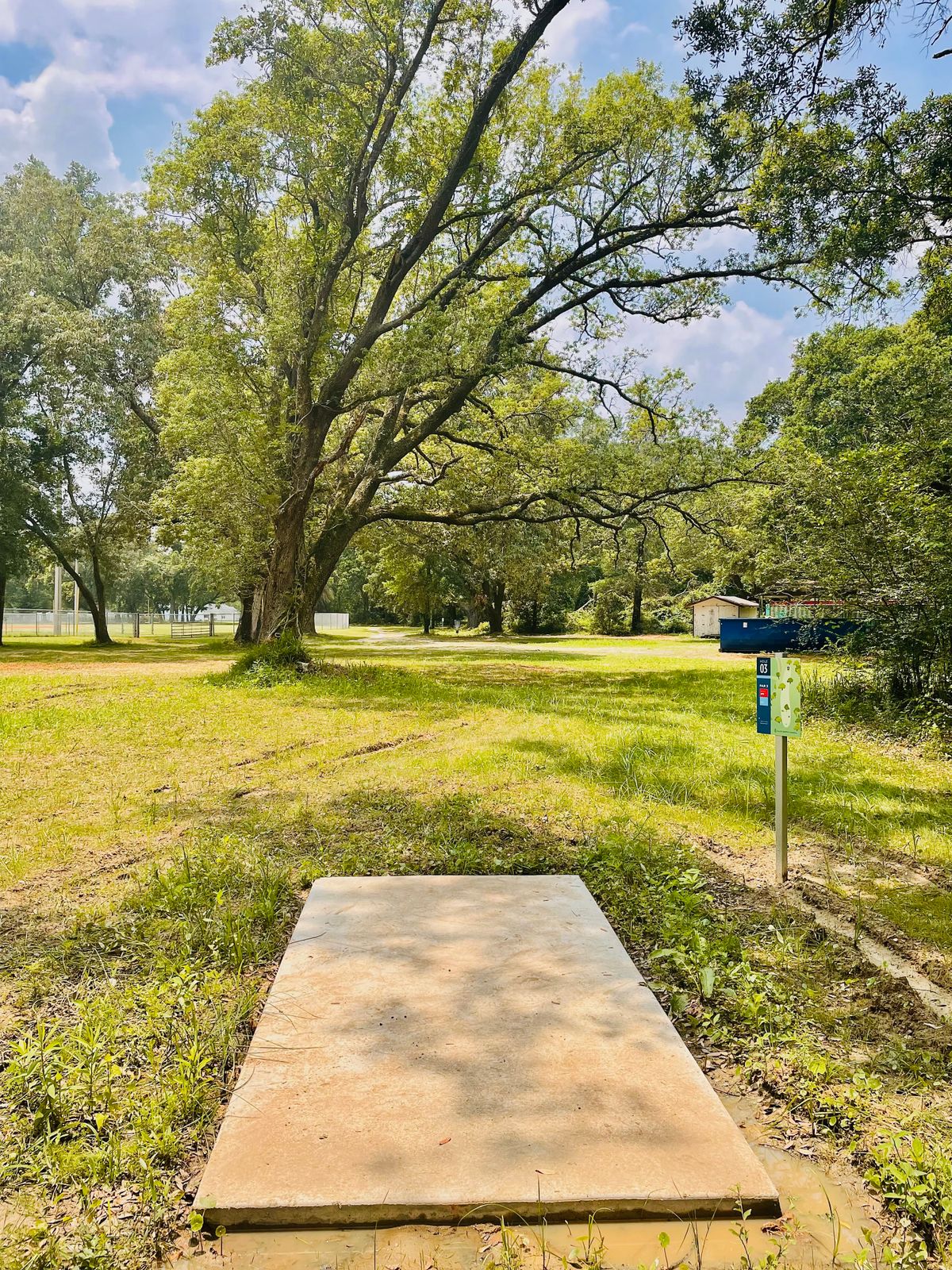 Hole #4 a but muddy near the tee