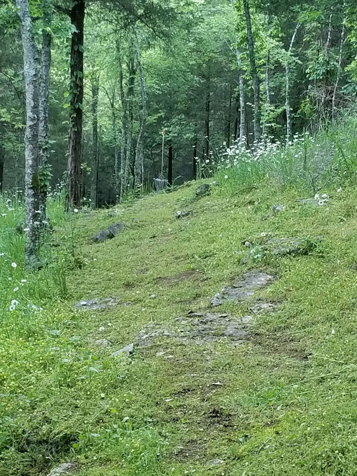 Hole 16