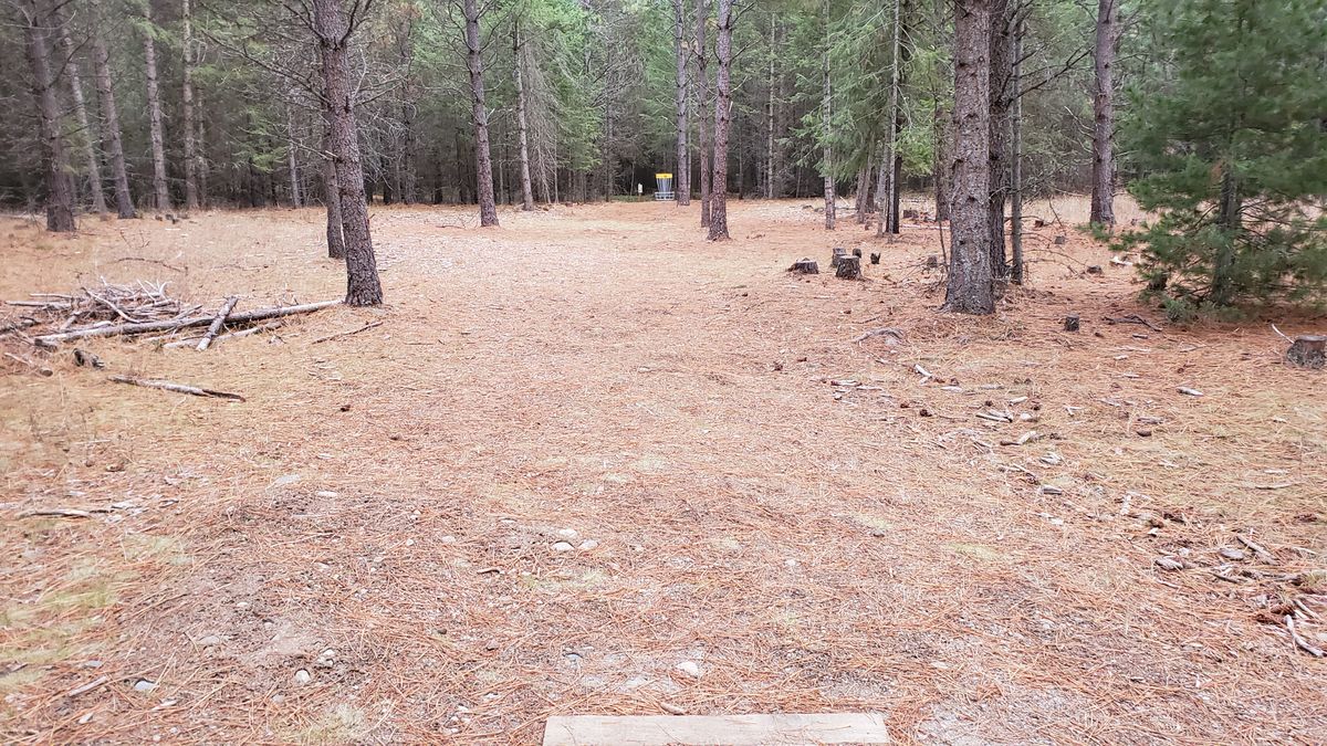 Tee pad hole 12