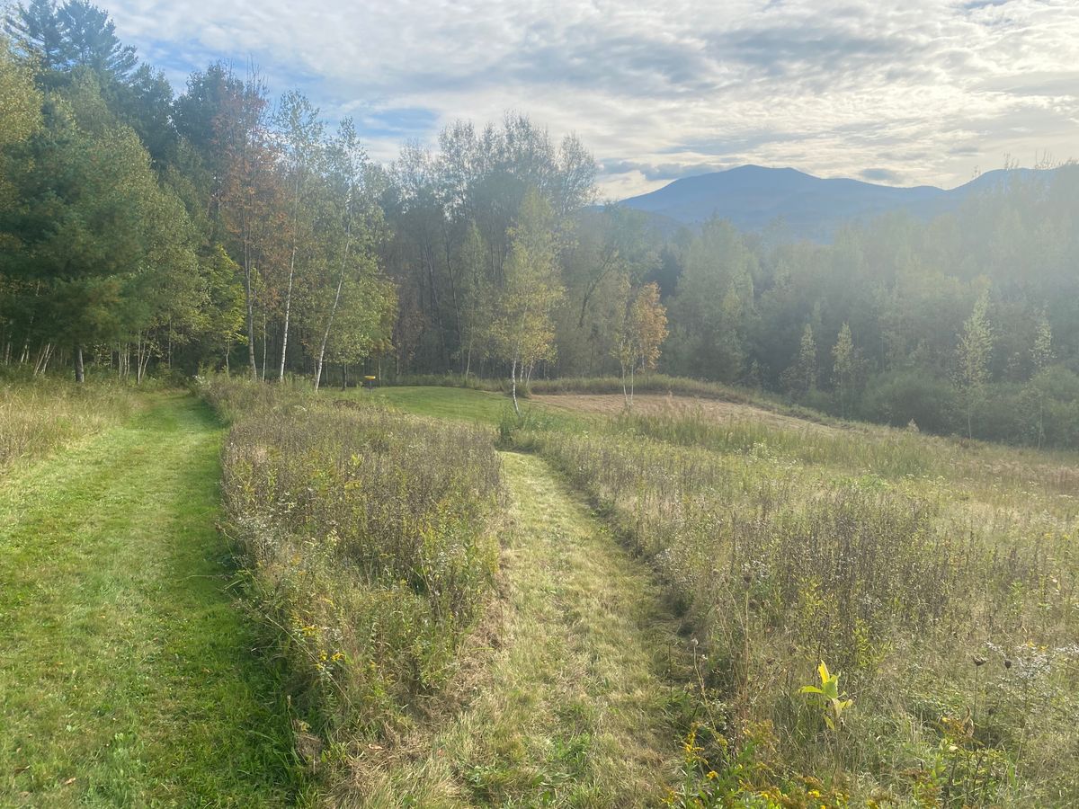 Hole 15 fairway looking at green