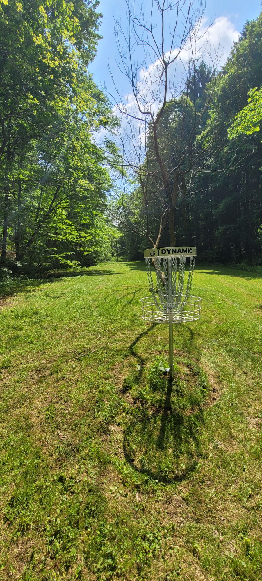 7 basket reverse down fairway