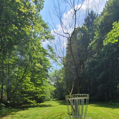 7 basket reverse down fairway