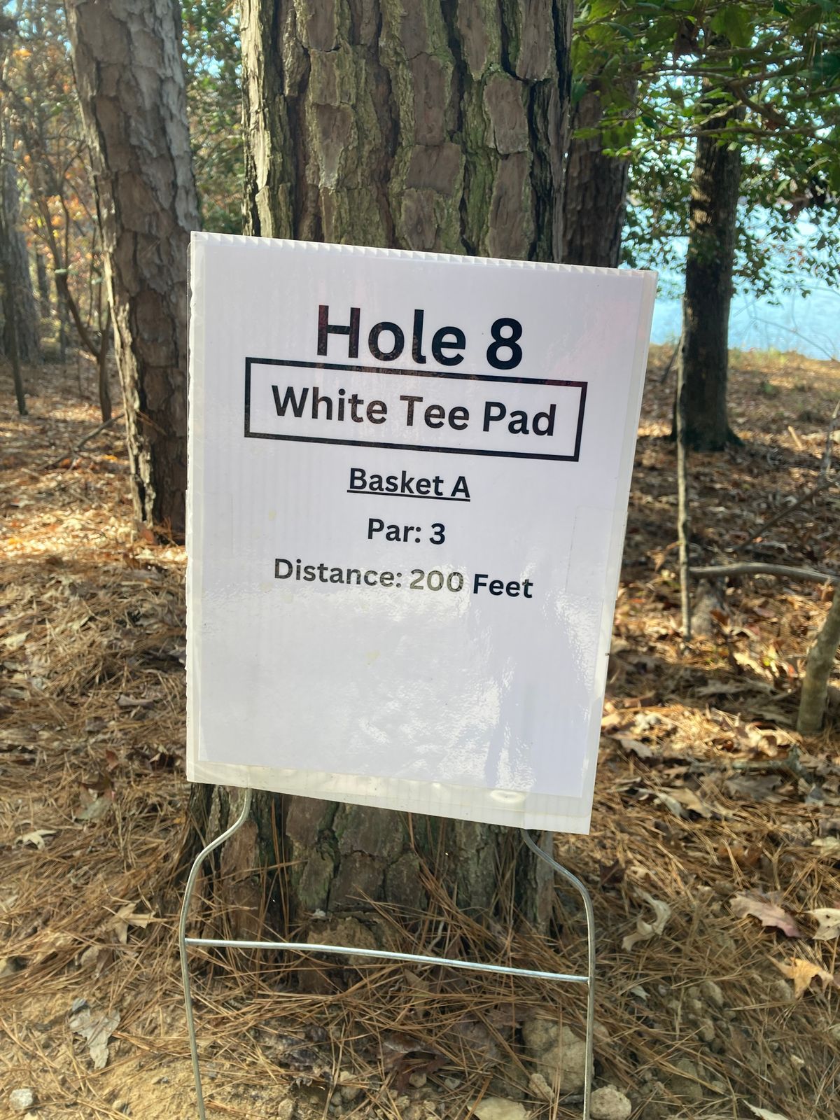 Hole 8 White Tee Sign