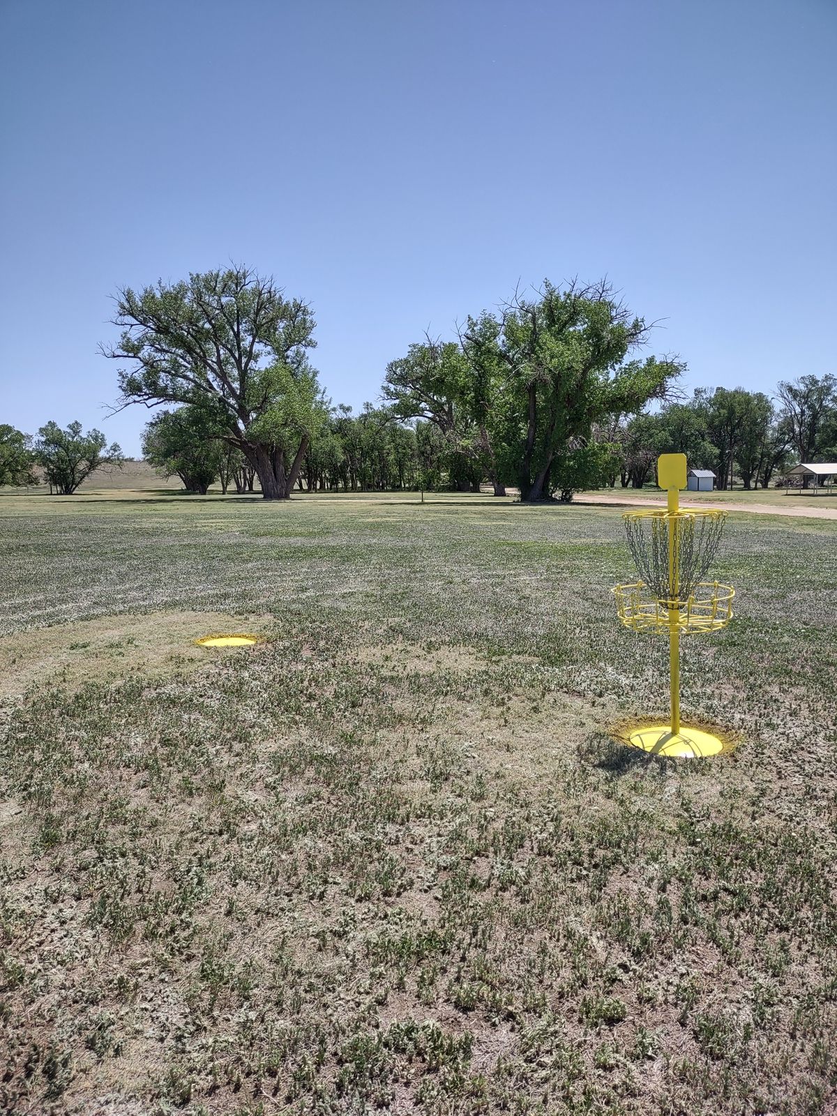 Hole #1 and #2 tee, looking east.  Tee markers are plow discs flat on the ground as you can see on the left.