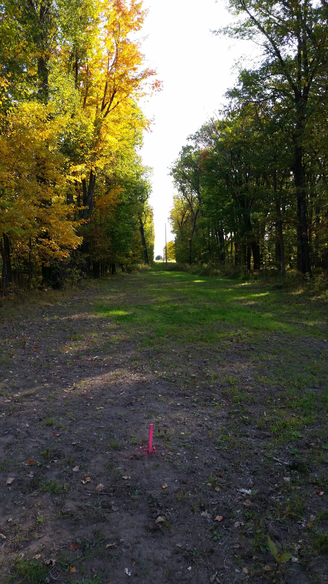 Hole 16