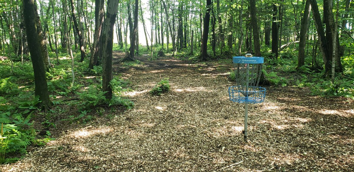 Circle #11 looking towards the 2nd fairway.