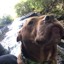 User avatar image