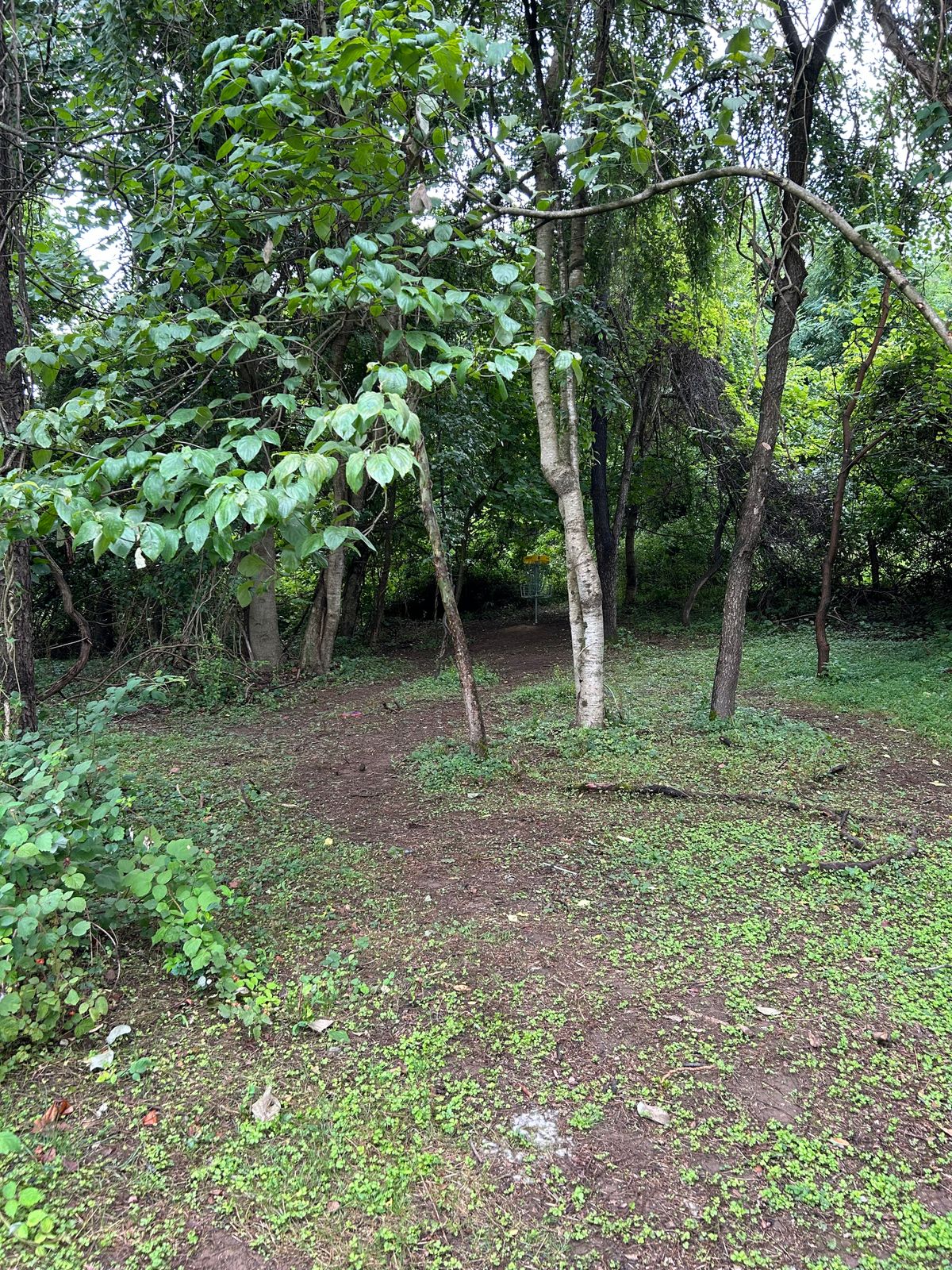 Hole 8