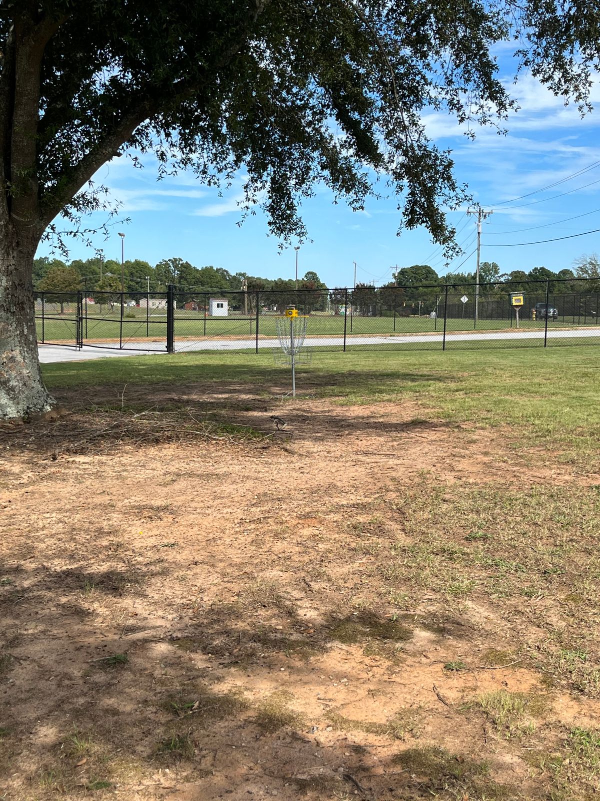 Hole 5 sits under a beautiful oak.
