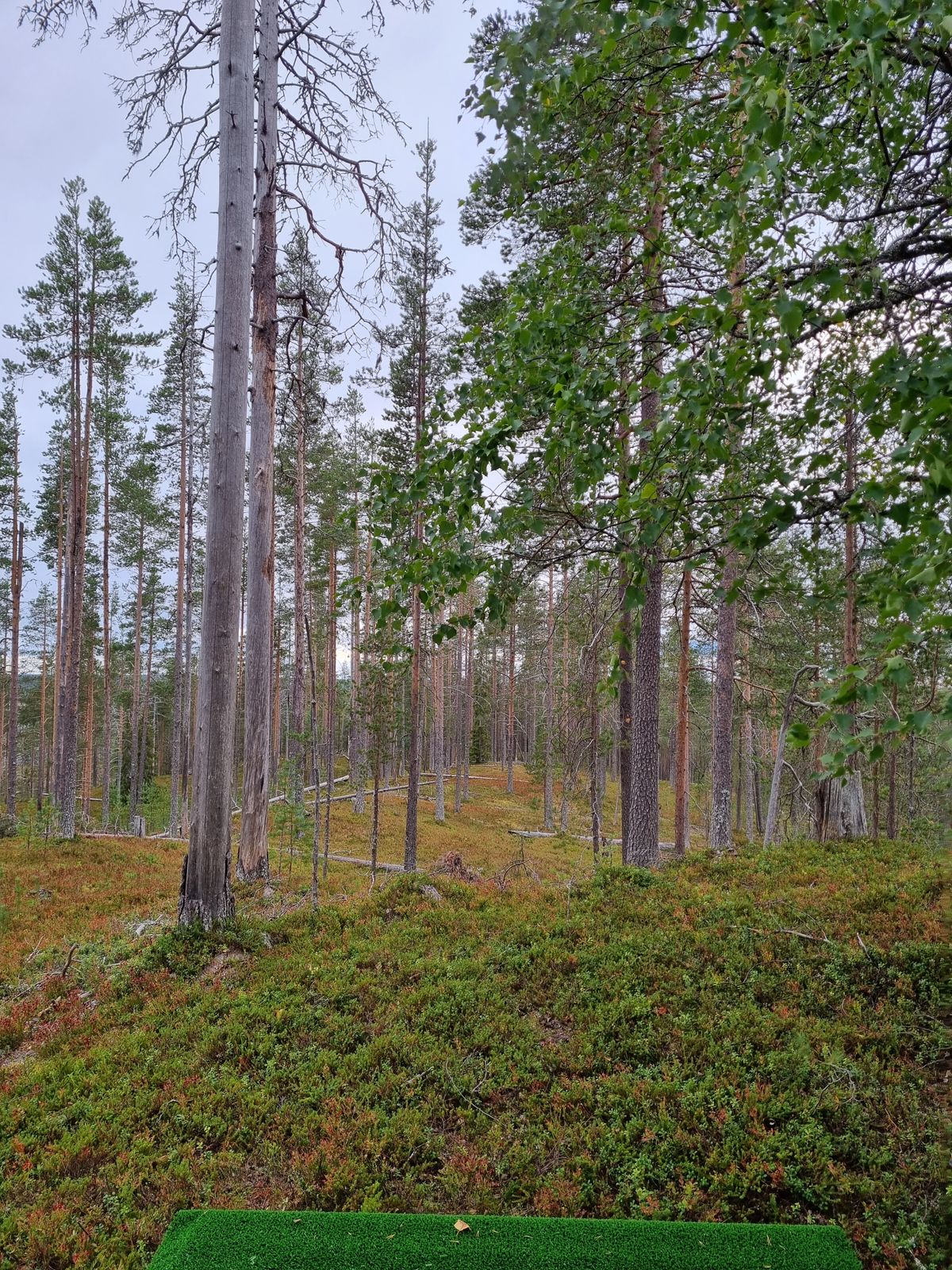 Väylä 10