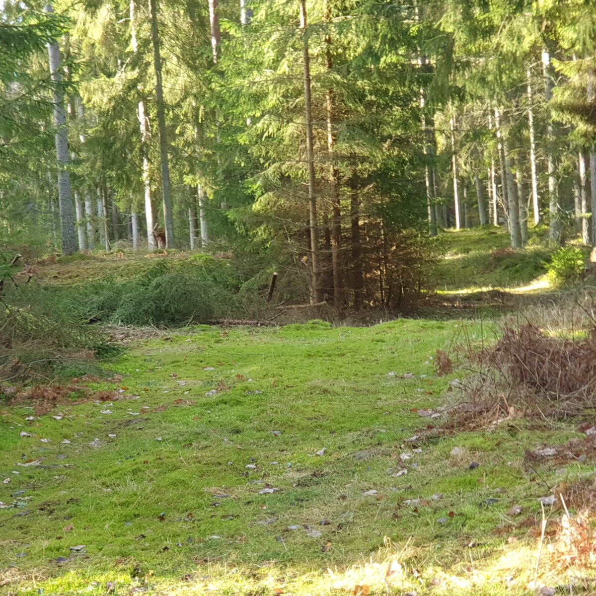 Hole 3