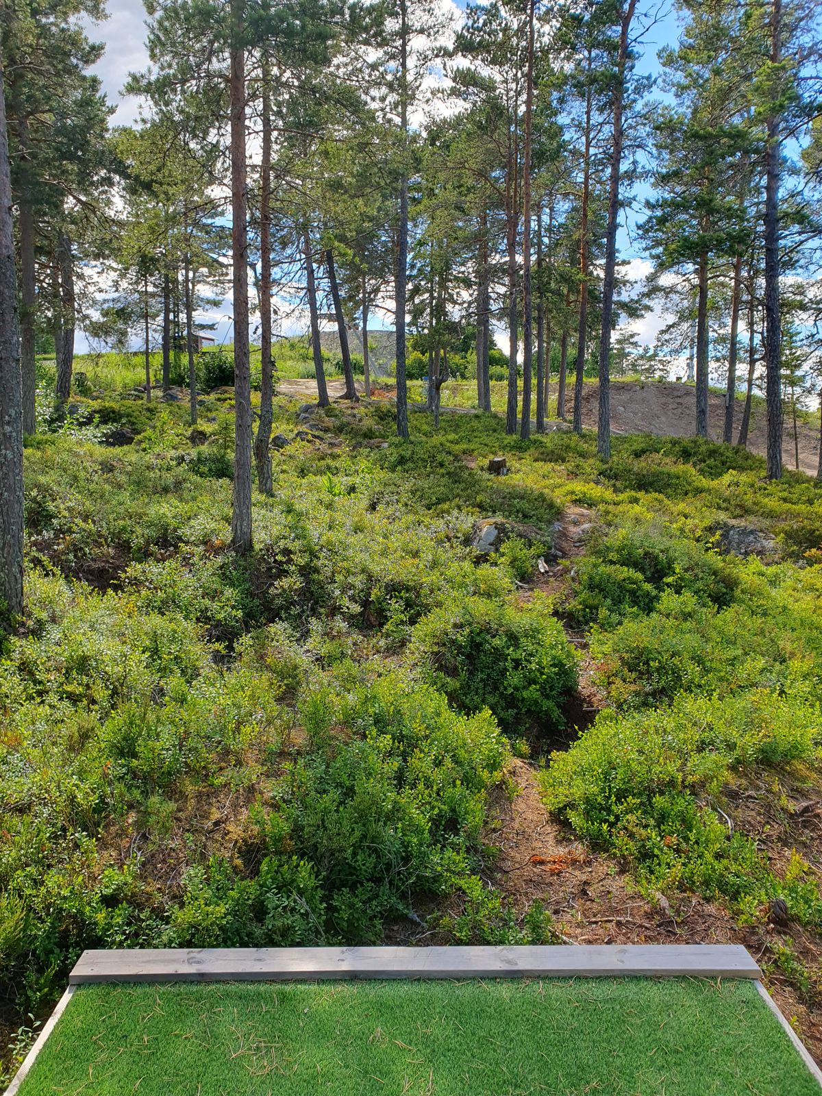 Hål 5
