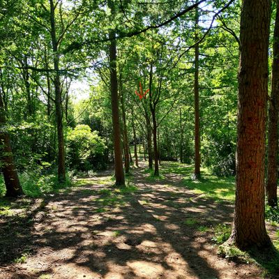 Hole 17, view from yellow tee. Basket hidden in the back.