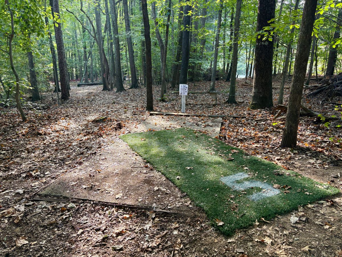 Hole 5 tee