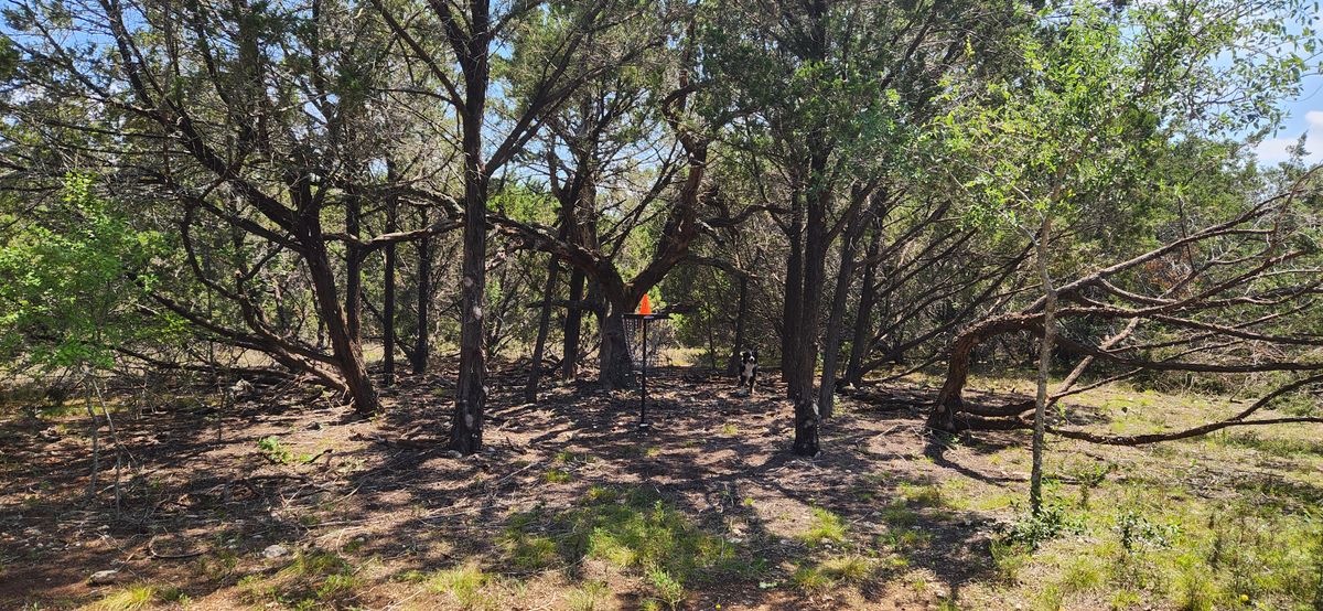 Hole 7
