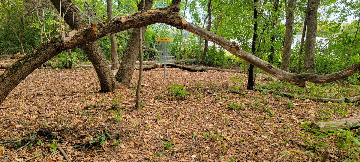 Hole 5. Good luck!