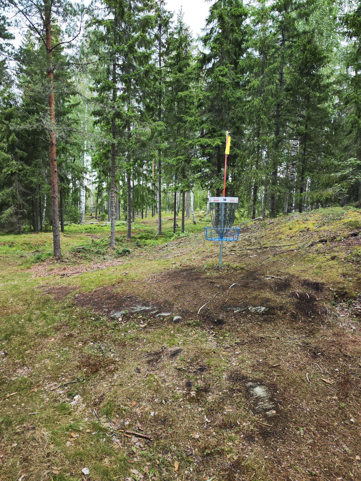 Väylä 10 kori