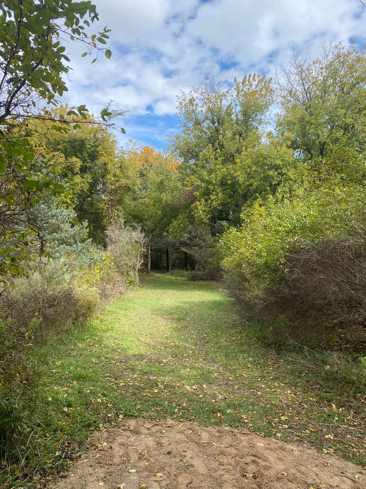 Hole 4 Teeshot. Basket straight back