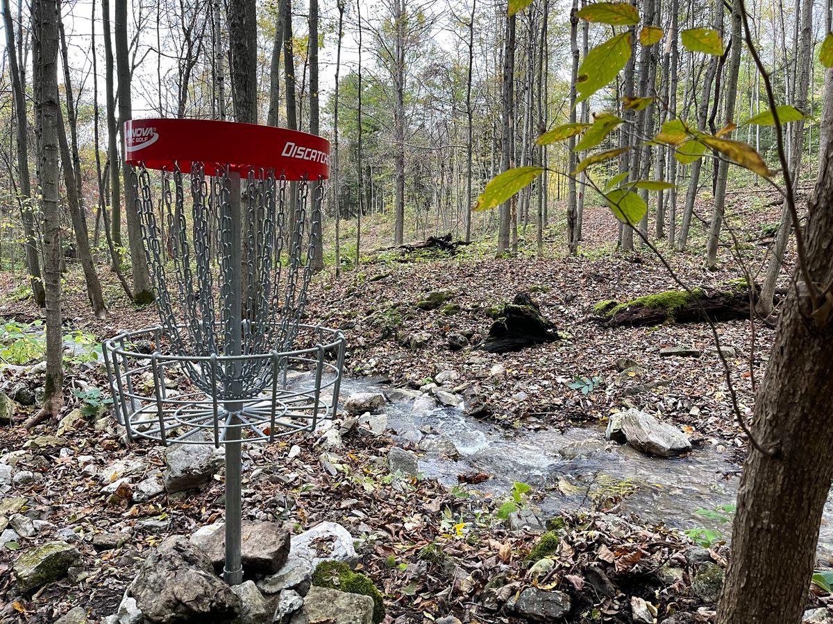 C Basket to Tee