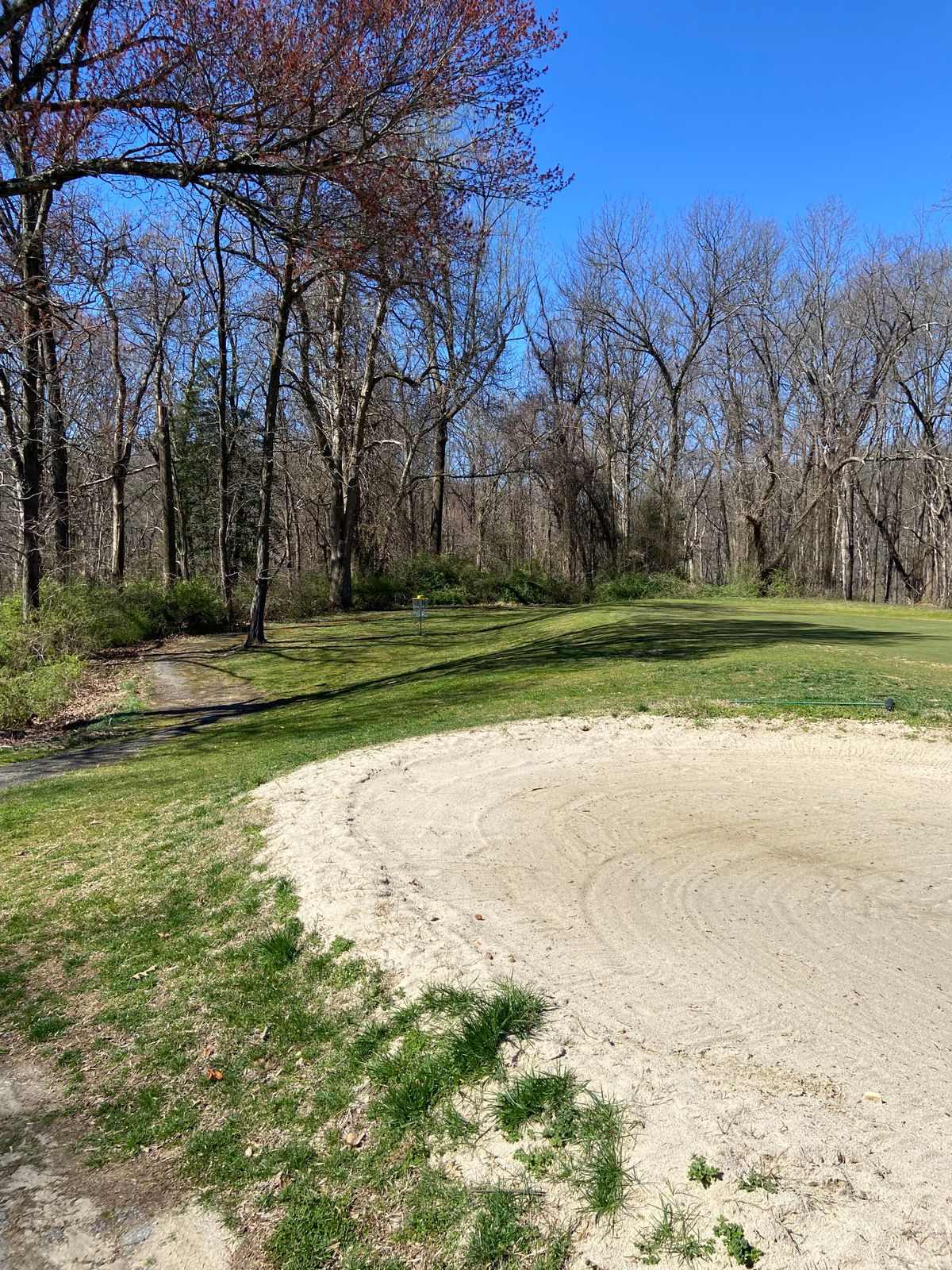 Hole 15 green