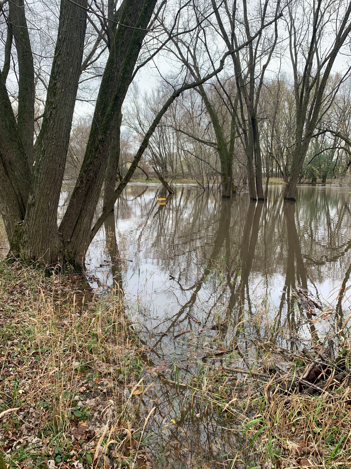 1st basket is nearly submerged.