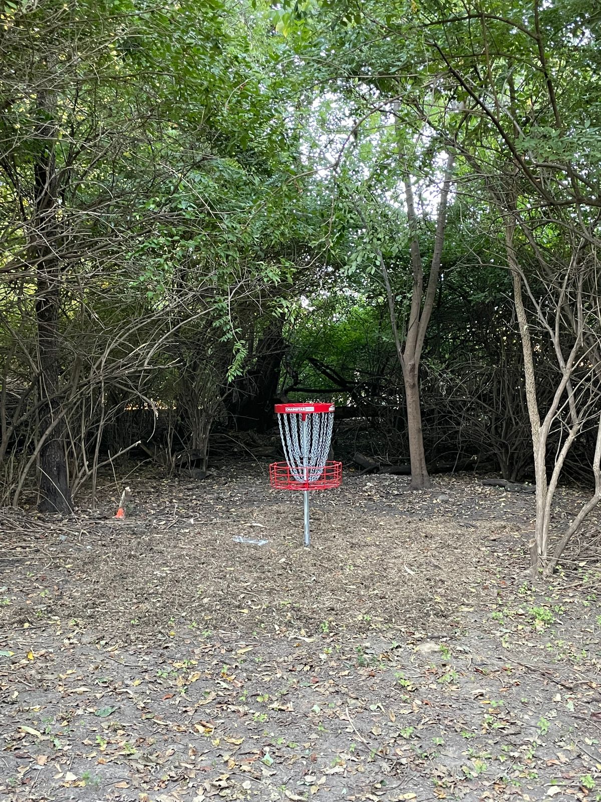 Hole 6 basket