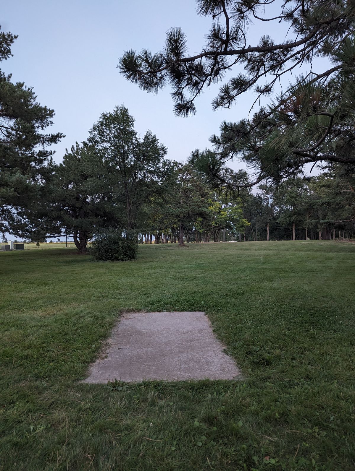 Tee 5