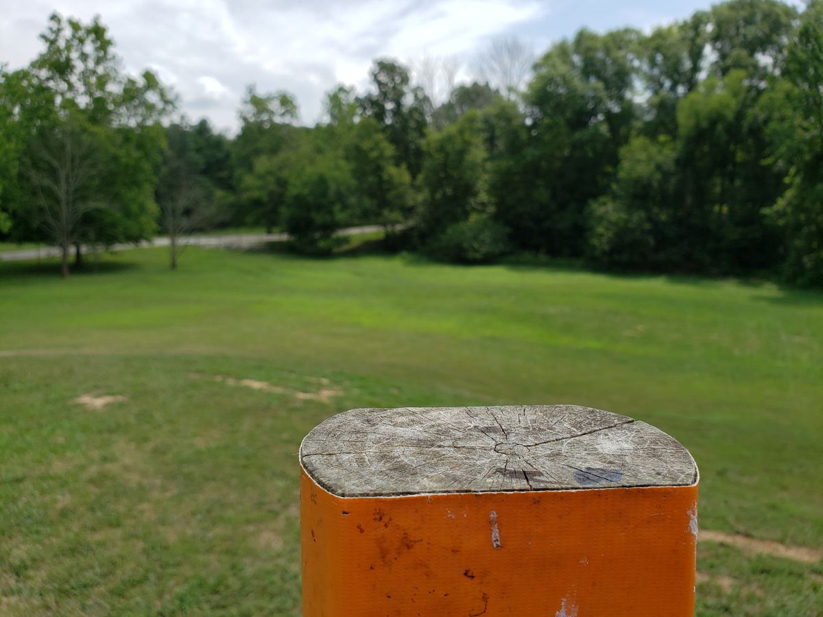#5 Pro Tee Fairway view.