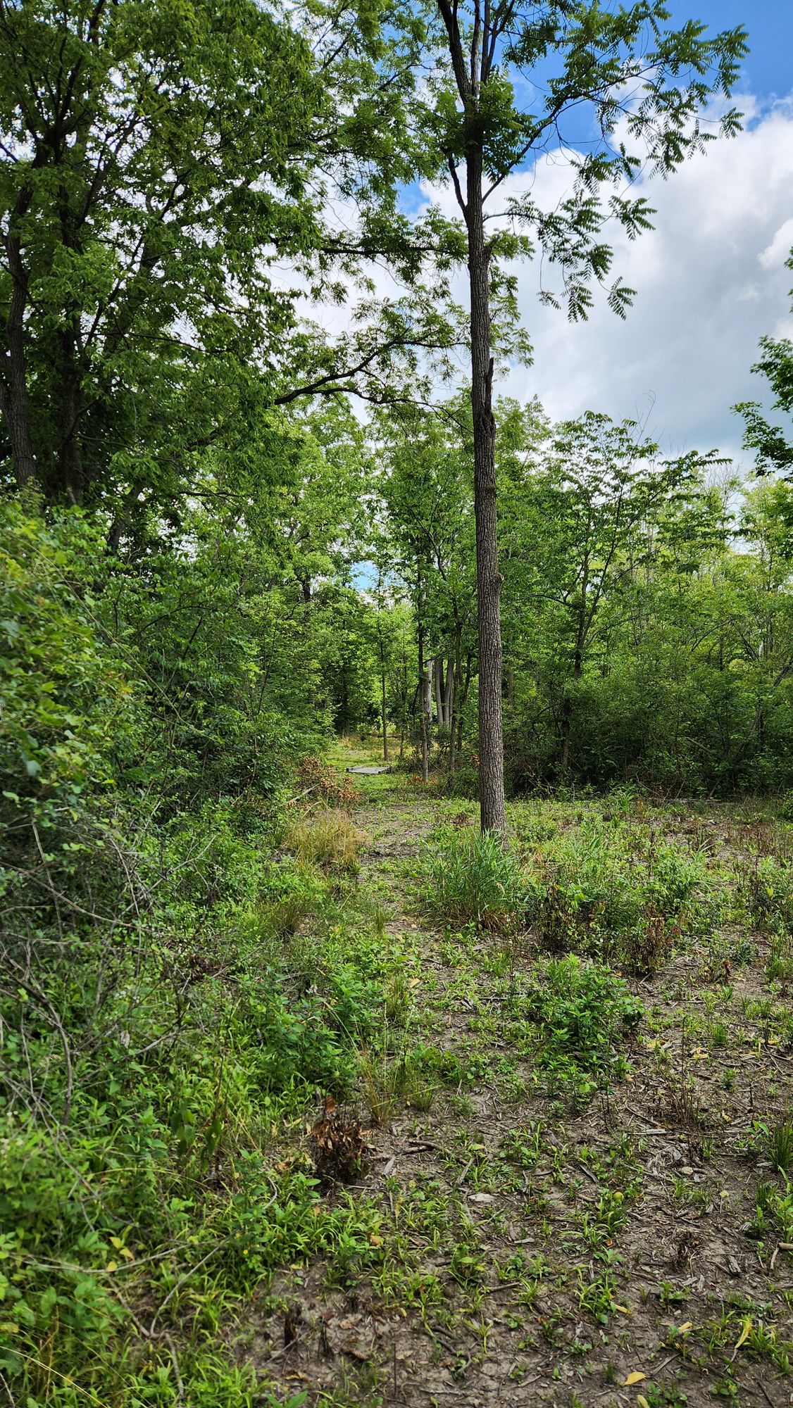 Hole 6 view from tee