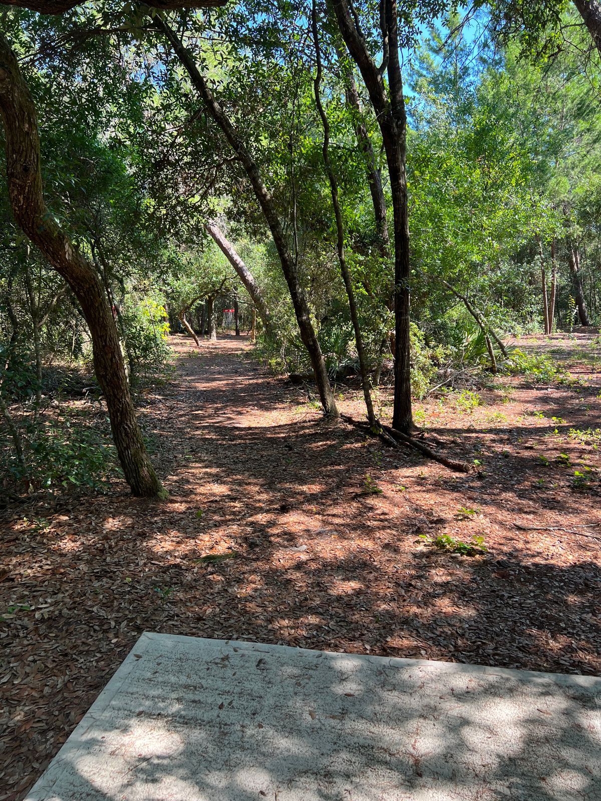 Hole 8. Left red fairway and right gold fairway