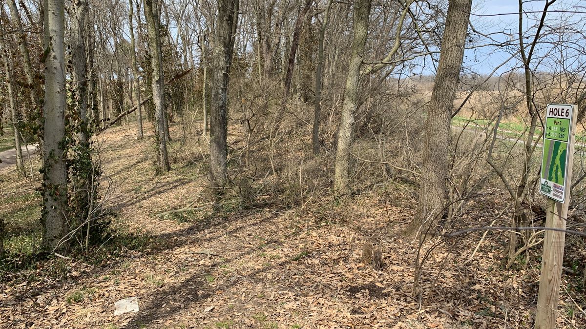 Hole 6