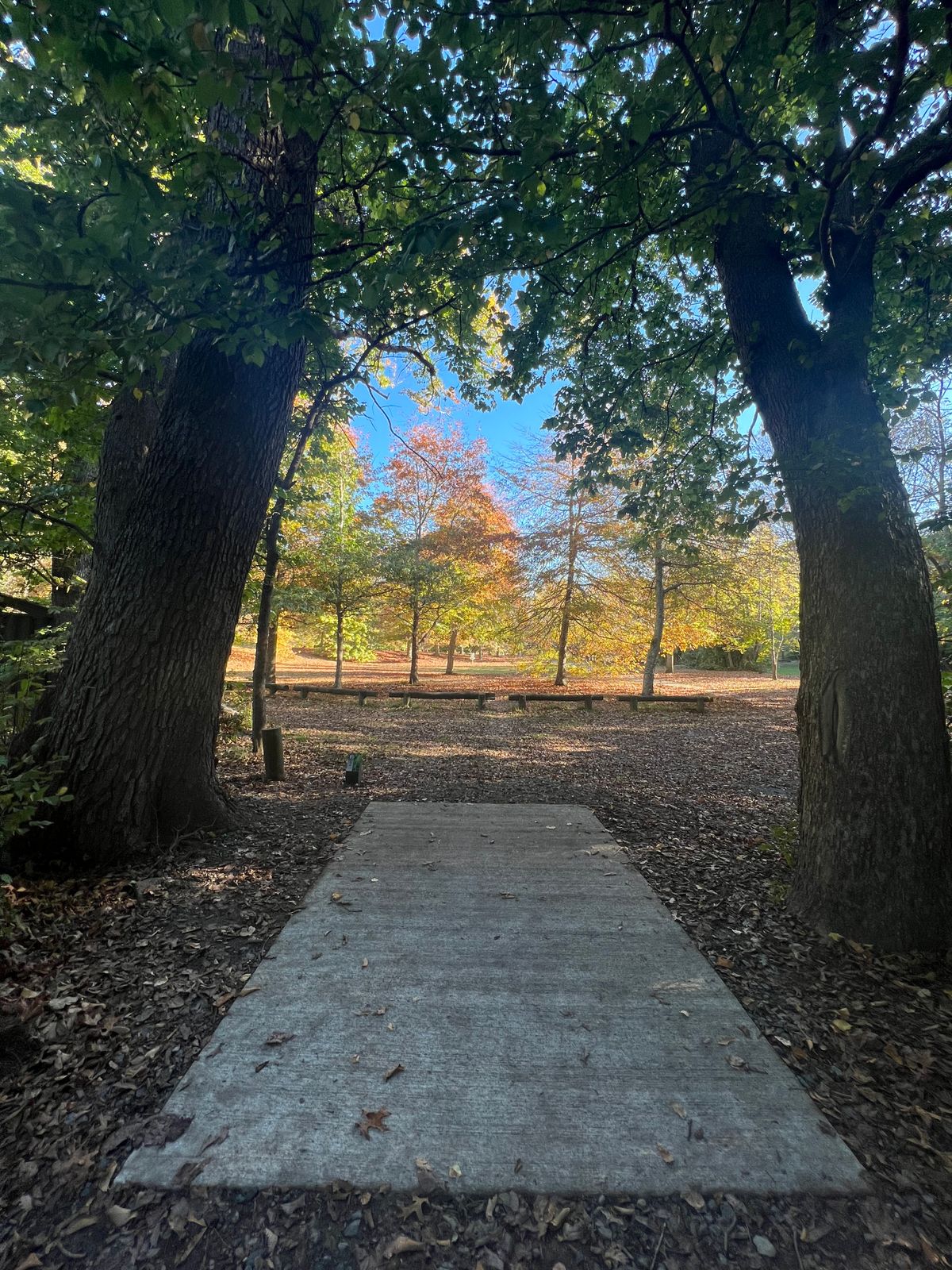 Hole 12