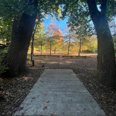 Hole 12