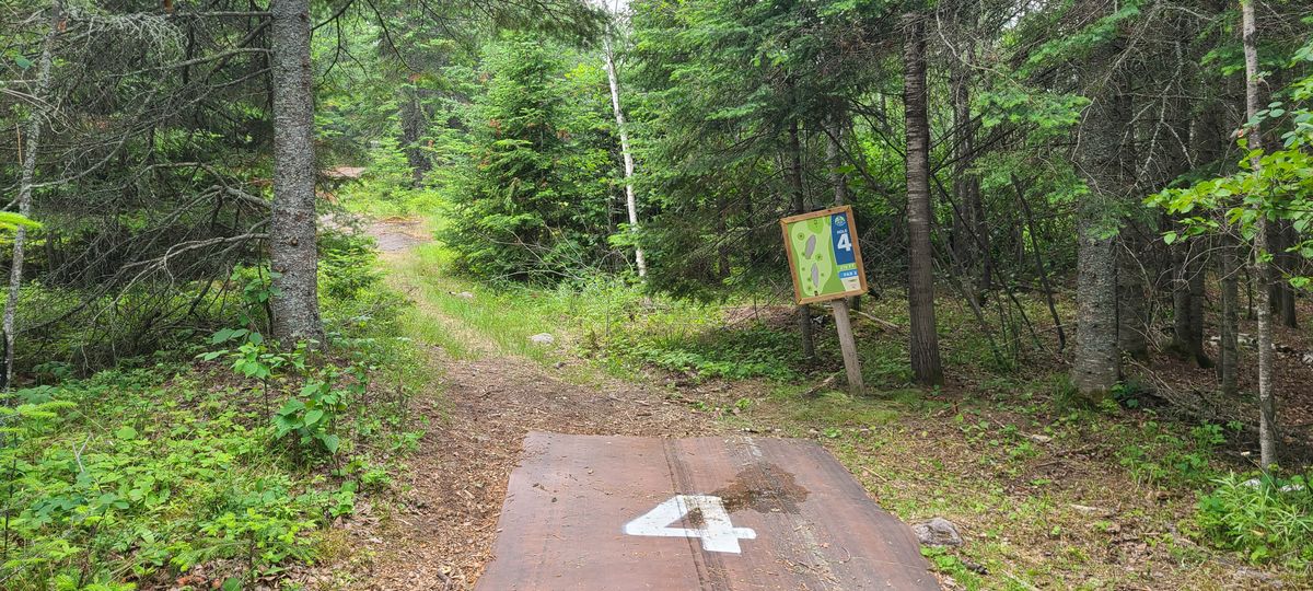 Hole 4 tee