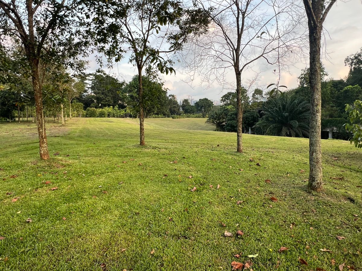 Hole 13 green looking back at the long par 5 sloped fairway.
