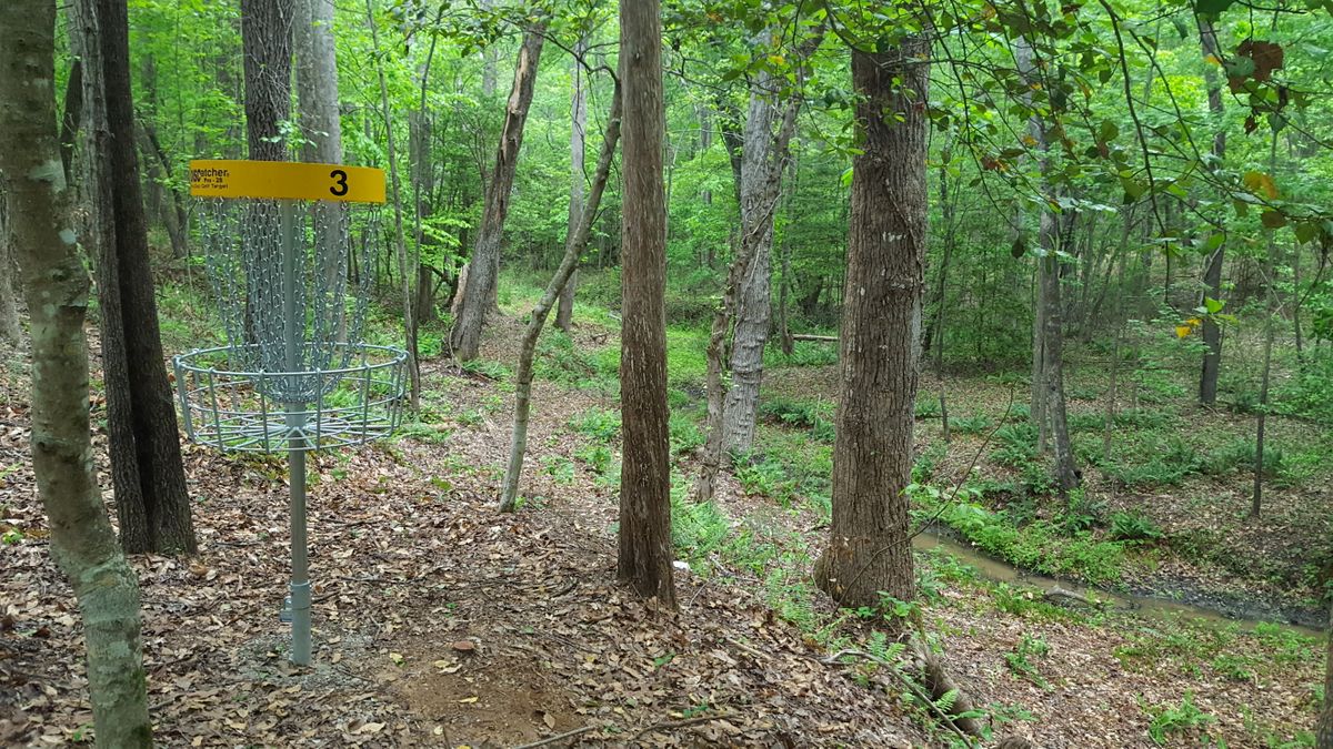 Hole #3 looking back at tee