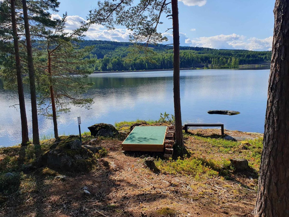 Hull 7 
Arvika Discgolf Park