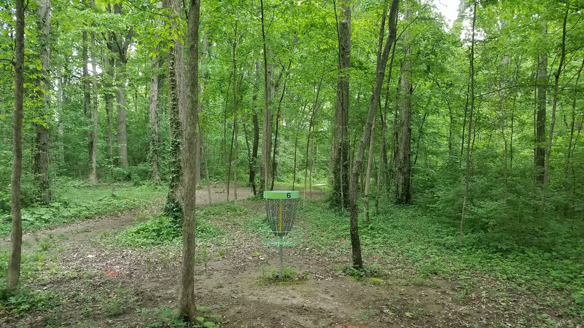 Looking back from the long position