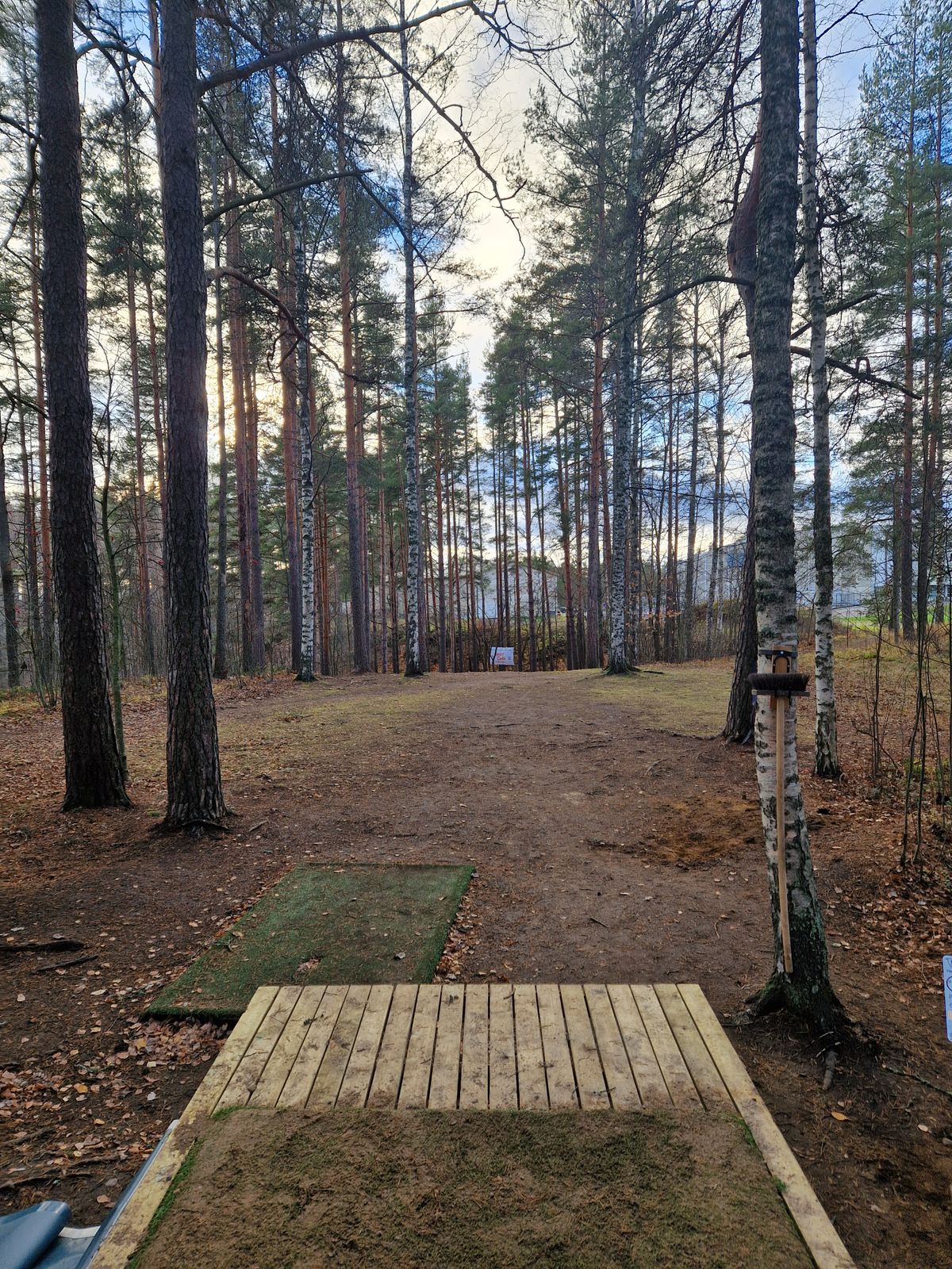Am tee 5